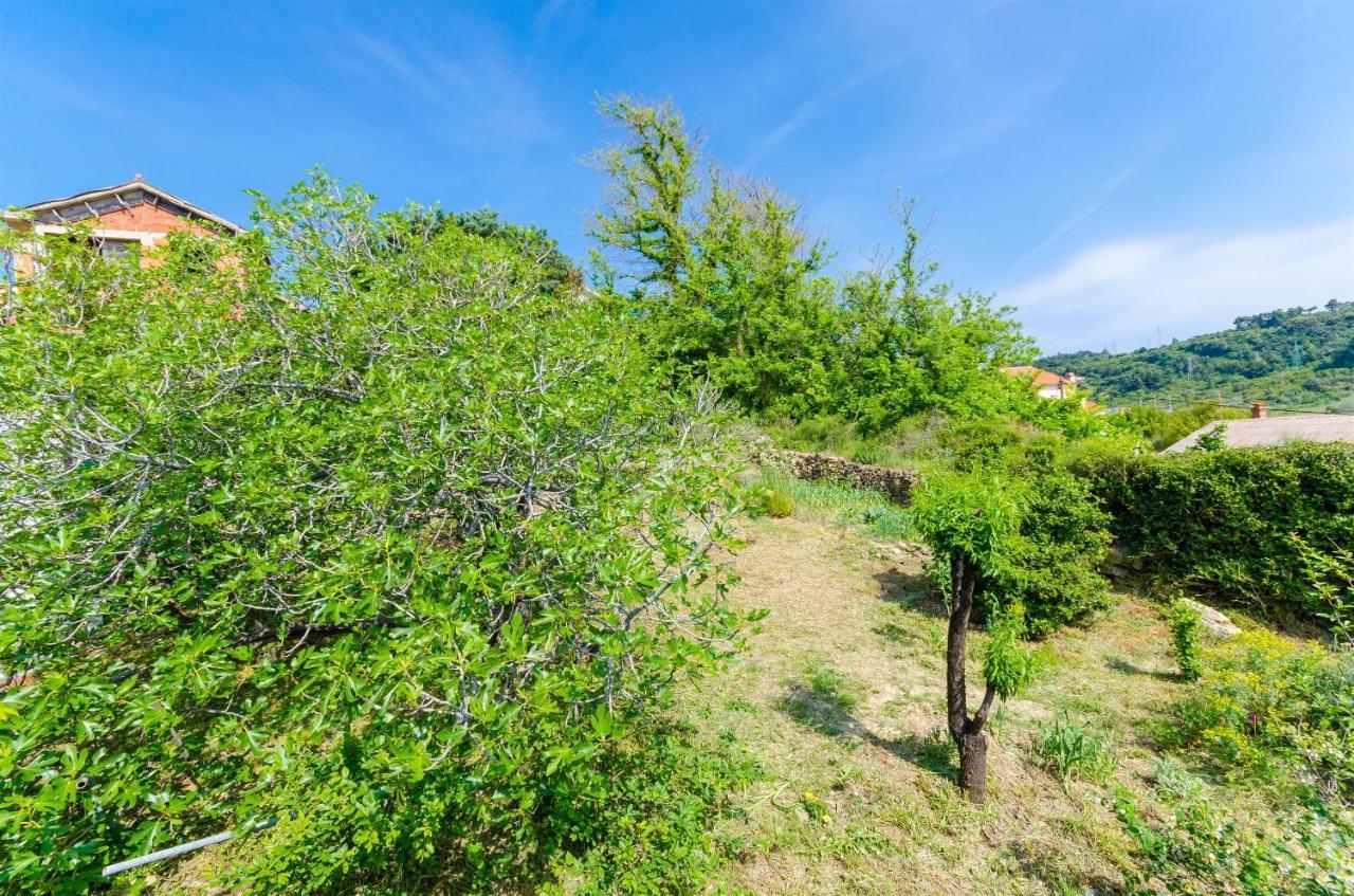 Apartments Marotin Palit Екстериор снимка